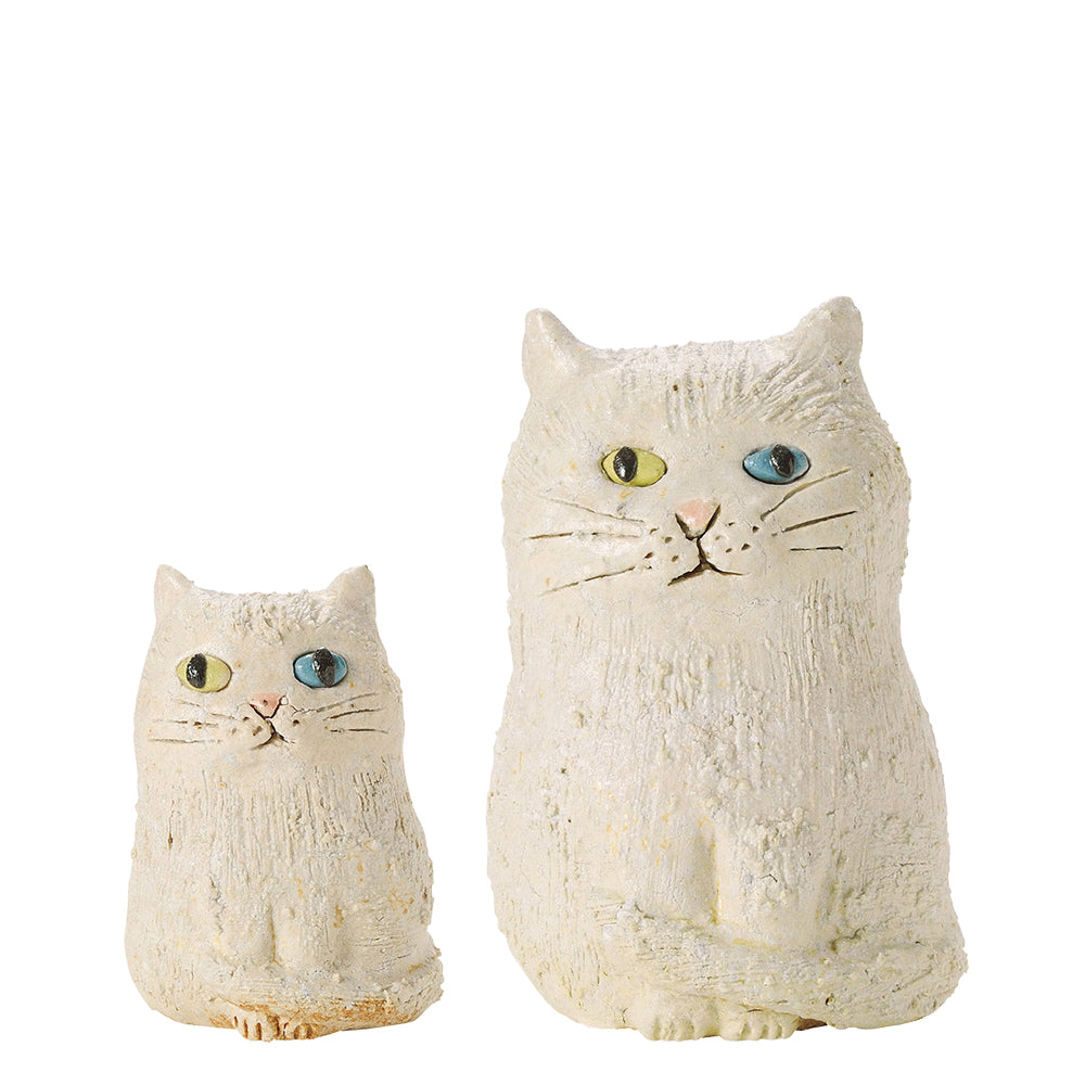 オッドアイねこ