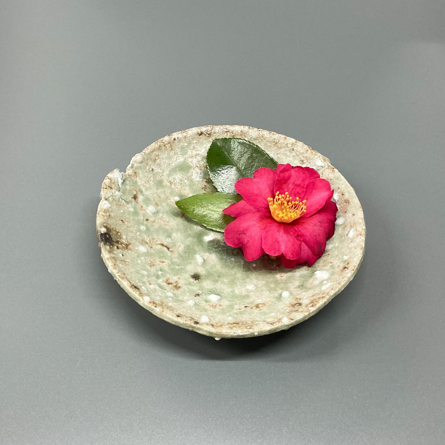 灰釉 小ざら