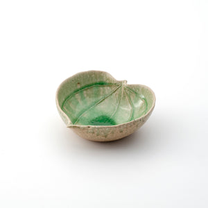 山帰来 15cm鉢